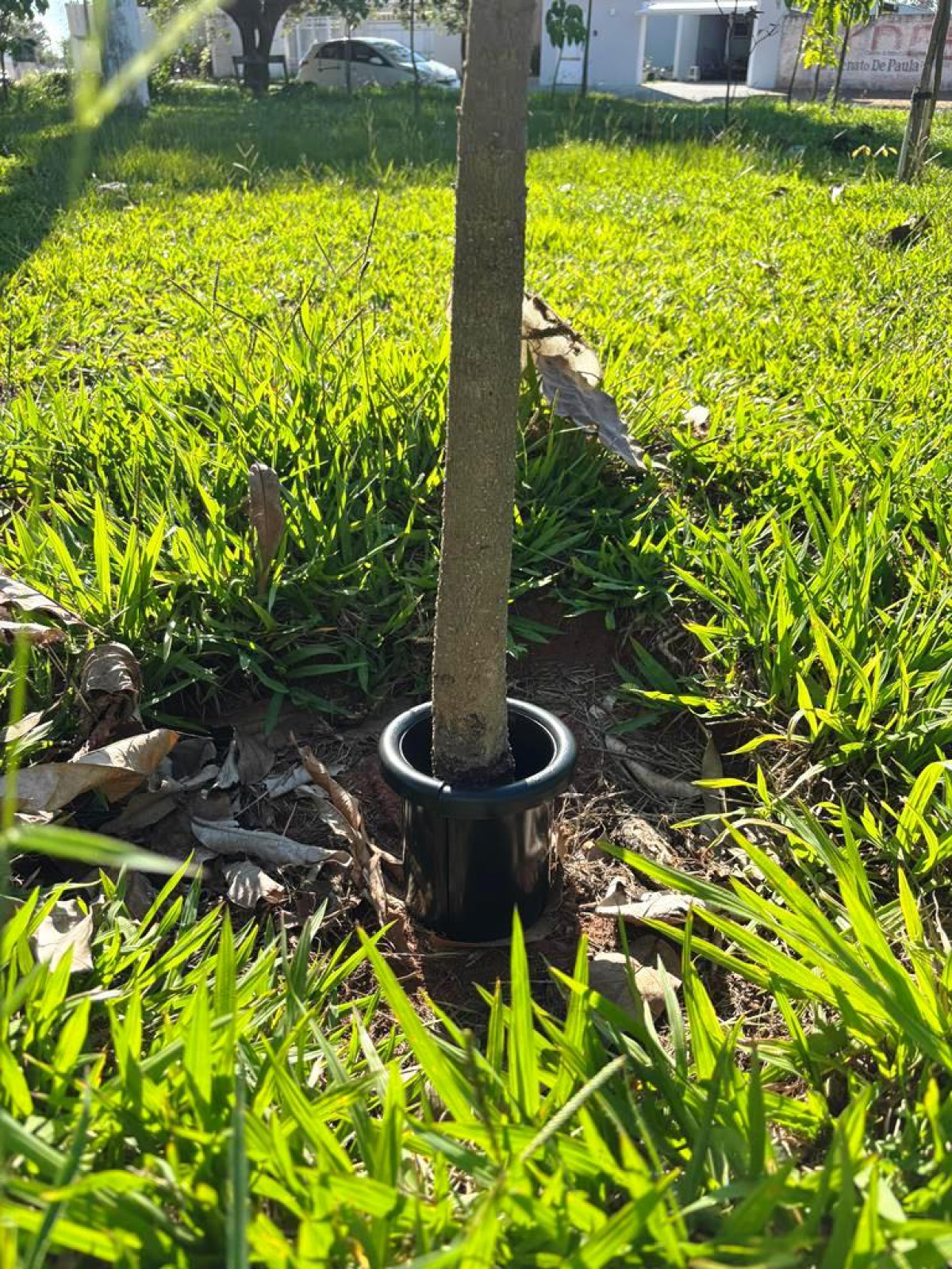 Limitador de Formigas Cortadeiras foto 2