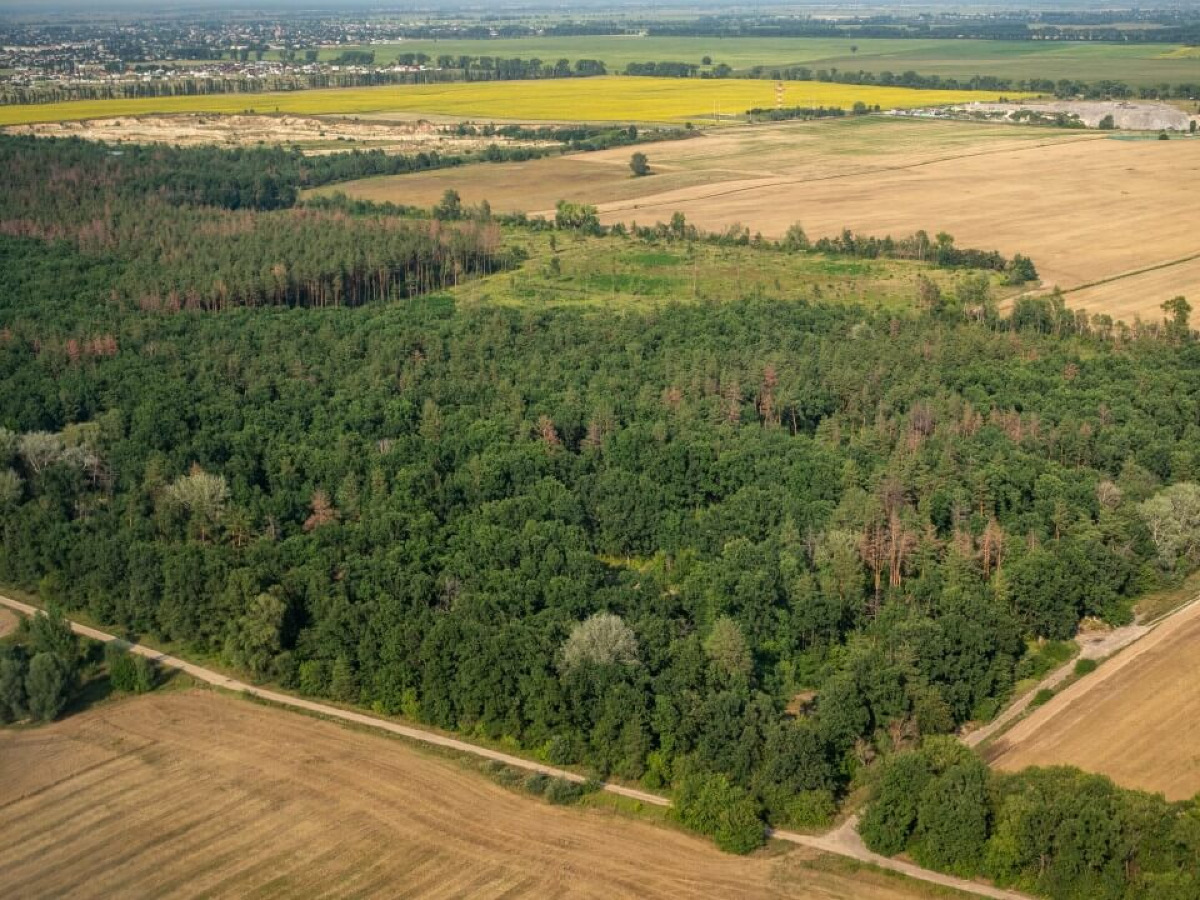 Comercialização de Reserva Legal